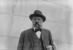 Whiskers Prints: Sen. Wende, between c1910 and c1915. Creator: Bain News Service