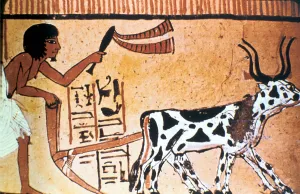 New Kingdom Prints: Sennutem ploughing with cattle, Ancient Egyptian tomb painting, New Kingdom (1550-1069 BC)