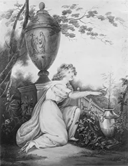 Maria Gallery: The Sensitive Plant, 1808. Creator: Maria Edgar
