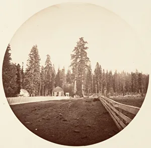 Watkins Carleton Emmons Prints: The Sentinels. C. Grove, ca. 1878. Creator: Carleton Emmons Watkins