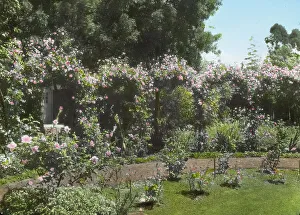 Arbour Prints: Senuelo, Edward Ditmars Wetmore house
