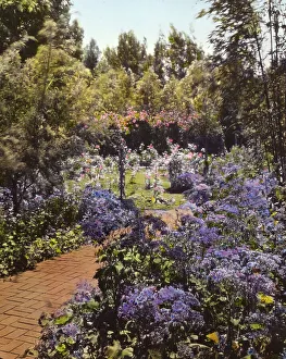 Senuelo, Edward Ditmars Wetmore house, 1050 Channel Drive, Montecito, California, 1917. Creator: Frances Benjamin Johnston. Senuelo, Edward Ditmars Wetmore house, 1050 Channel Drive, Montecito, California, 1917