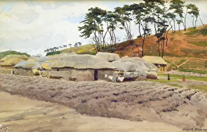 Benois Gallery: Seoul, 1919