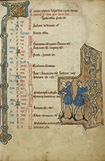 Baskets Prints: September Calendar Page; Harvesting Grapes; Psalter, mid-1200s. Creator: Unknown