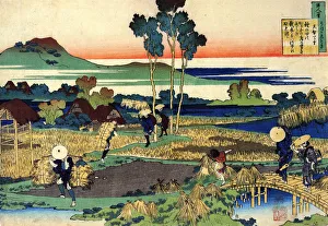 Rice Paddy Prints: From the series Hundred Poems by One Hundred Poets: Tenchi Tenno, c1830. Artist: Hokusai