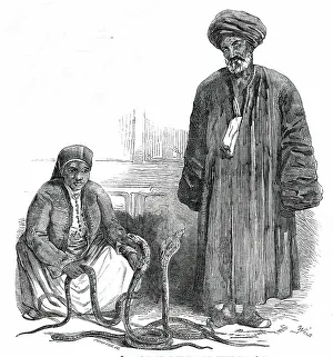 Pearson Prints: The Serpent-Charmers at the Gardens of the Zoological Society