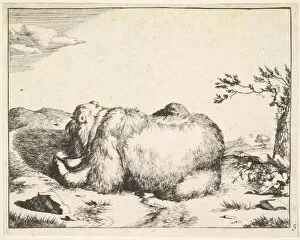 Hungry Collection: from The Set of The Bears, ca. 1664. Creator: Marcus de Bye