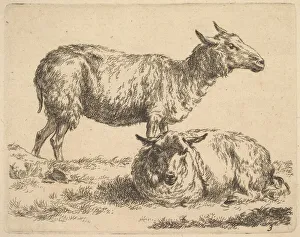 Berchem Gallery: from The Set of Sheep. Creator: Nicolaes Berchem