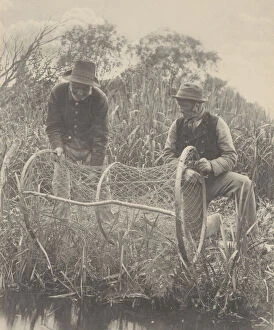 Images Dated 29th March 2021: Setting Up the Bow-Net, 1886. Creator: Dr Peter Henry Emerson