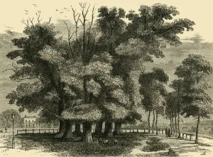 North London Prints: The Seven Sisters, in 1830, (c1876). Creator: Unknown