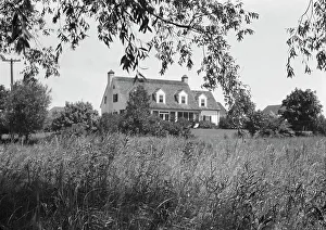 Grasses Prints: Sexton residence, 1932 July 10. Creator: Arnold Genthe