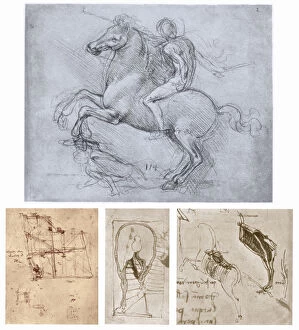 The Sforza Monument, c1488-1493. Artist: Leonardo da Vinci