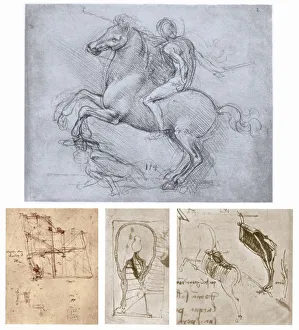 The Sforza Monument, c1488-1493. Artist: Leonardo da Vinci
