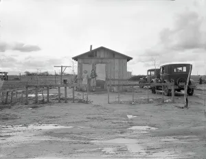 Okie Prints: Shack in Little Oklahoma, California