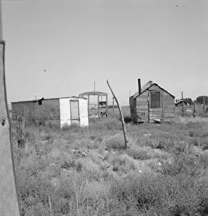 Accommodation Gallery: Shack for potato pickers, Merrill, Klamath County, Oregon, 1939. Creator: Dorothea Lange