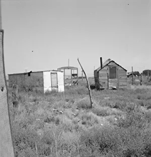 Shack Gallery: Shack for potato pickers, Merrill, Klamath County, Oregon, 1939. Creator: Dorothea Lange
