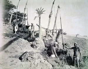 Shaduf Prints: Shadufs in Upper Egypt, late 19th century. Artist: G Lekegian