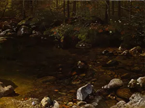 Shady Prints: Shady Pool, White Mountains, New Hampshire, c. 1869. Creator: Albert Bierstadt