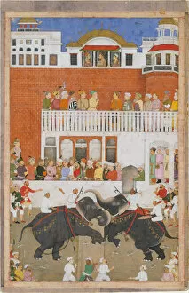 Shah Jahan Watching an Elephant Fight, Folio from a Padshahnama, probably 1639