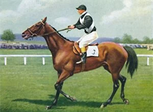 Animals & Pets Collection: Shalfleet, Jockey: R. Perryman, 1939