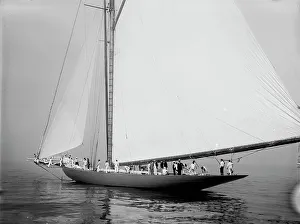 Yacht Race Prints: Shamrock, c1899. Creator: Johns Johnston