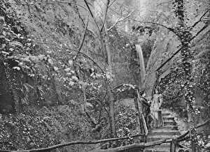 Ravine Collection: Shanklin Chine, c1896. Artist: FN Broderick