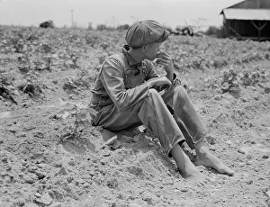 Sharecropper Prints: Sharecropper boy, Chesnee, South Carolina, 1937. Creator: Dorothea Lange
