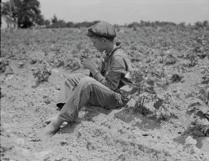 Sharecropper Prints: Sharecropper boy near Chesnee, South Carolina, 1937. Creator: Dorothea Lange