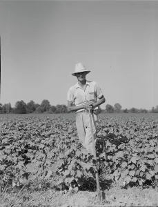 Sharecropper Prints: Sharecropper of the Mississippi Delta