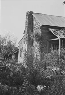 A sharecroppers field, Hale County, Alabama, 1936. Creator: Walker Evans