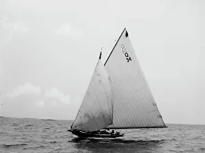 Sloop Prints: Shark, 1897 June 29. Creator: Johns Johnston