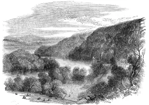 Corvus Frugilegus Prints: Sharpham, on the Dart, Devon - the Largest Rookery in England, 1856. Creator: Edmund Evans