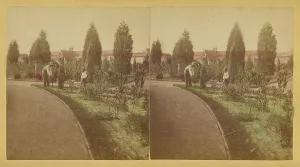 Garden Design Prints: Shaw's Garden. North End. St