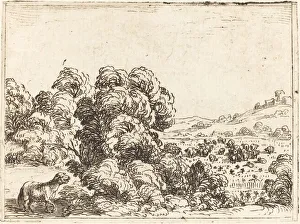 Bushes Gallery: Sheep Calling Lamb. Creator: Jacques Callot