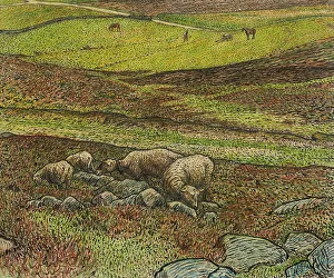 Kreuger Nils Prints: Sheep in a Dell, 1907. Creator: Nils Kreuger