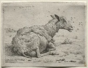 Karel Dujardin Prints: The Sheep and the Flies. Creator: Karel Dujardin (Dutch, c. 1622-1678)