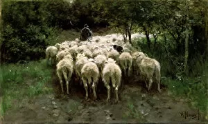 Anton Mauve Gallery: Sheep in the Forest, 19th century. Artist: Anton Mauve