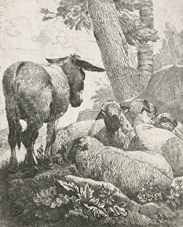Sheep, goats and cows series: Donkey and sheep, 1668-1670. Creator: Johann Heinrich Roos