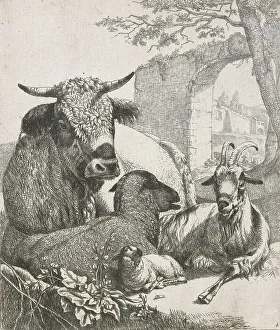 Roos Johann Heinrich Prints: Sheep, goats and cows series: Recumbent bull, 1668-1670. Creator: Johann Heinrich Roos