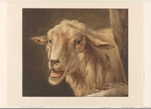 Open Mouth Prints: Sheep head, 1808. Creator: Jean Zacherie Mazel