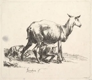 Berchem Gallery: Sheep with Lamb Nursing. Creator: Nicolaes Berchem