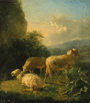 Wool Gallery: Sheep, late 18th-early 19th century. Creator: Balthasar Paul Ommeganck