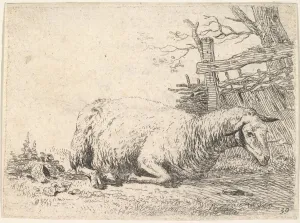 Jardin Prints: A sheep lying with its legs folded underneath its body next to a wooden fence, the she