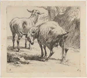Nicolaes Berghem Prints: Two Sheep, One Pissing. Creator: Nicolaes Berchem
