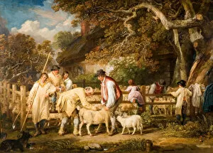Sheep Salving, 1828. Creator: James Ward