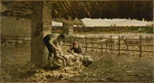 Country Village Gallery: The Sheepshearing, 1883-1884. Artist: Segantini, Giovanni (1858-1899)