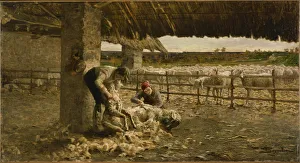Domestic Animals Prints: The Sheepshearing, 1883-1884. Artist: Segantini, Giovanni (1858-1899)