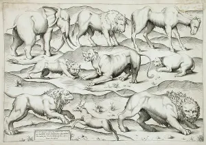 Antonio Lafreri Prints: Sheet of Animals, 1547. Creators: Antonio Lafreri, Enea Vico