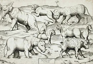 Rhino Prints: Sheet of Animals, 1547. Creators: Enea Vico, Antonio Lafreri