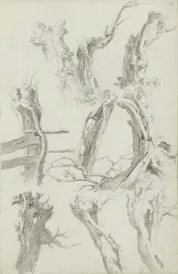 La Thiere Prints: Sheet of sketches with pollarded willows, c.1780-c.1800. Creator: Bernhard Heinrich Thier